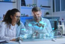 Perplexity Labs